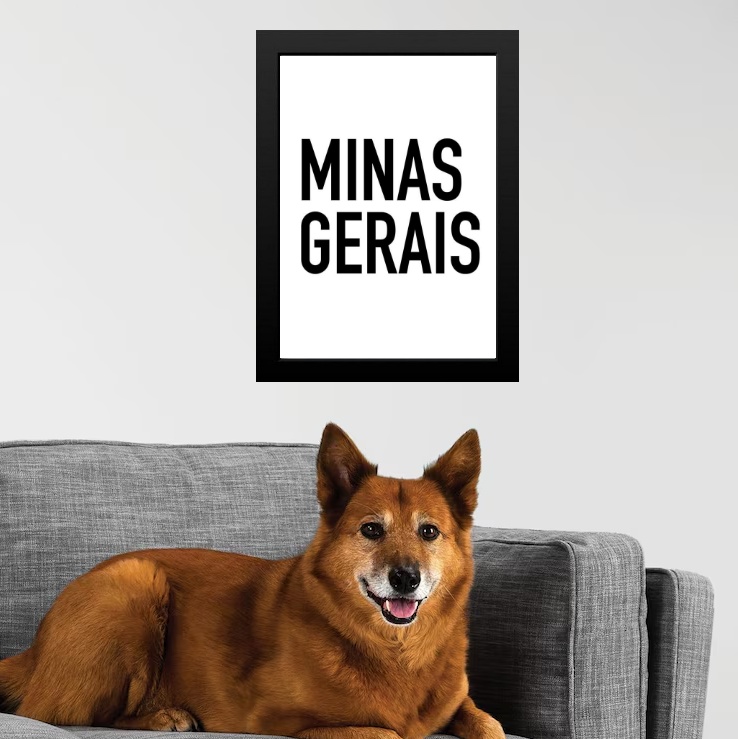 Quadro Decorativo Tipografia Minas Gerais