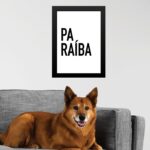Quadro Decorativo Tipografia Paraíba