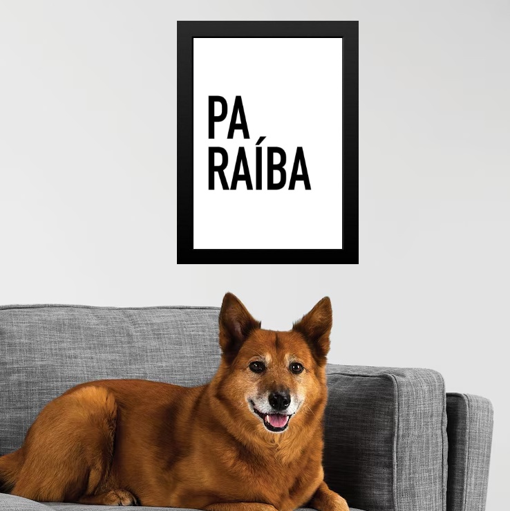 Quadro Decorativo Tipografia Paraíba