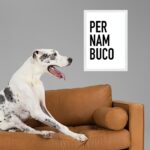 Quadro Decorativo Tipografia Pernambuco