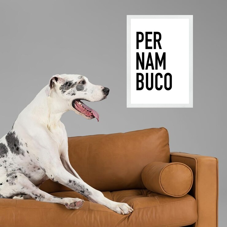 Quadro Decorativo Tipografia Pernambuco