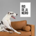 Quadro Decorativo Tipografia Rio De Janeiro