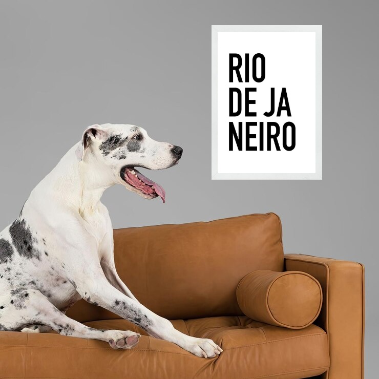 Quadro Decorativo Tipografia Rio De Janeiro