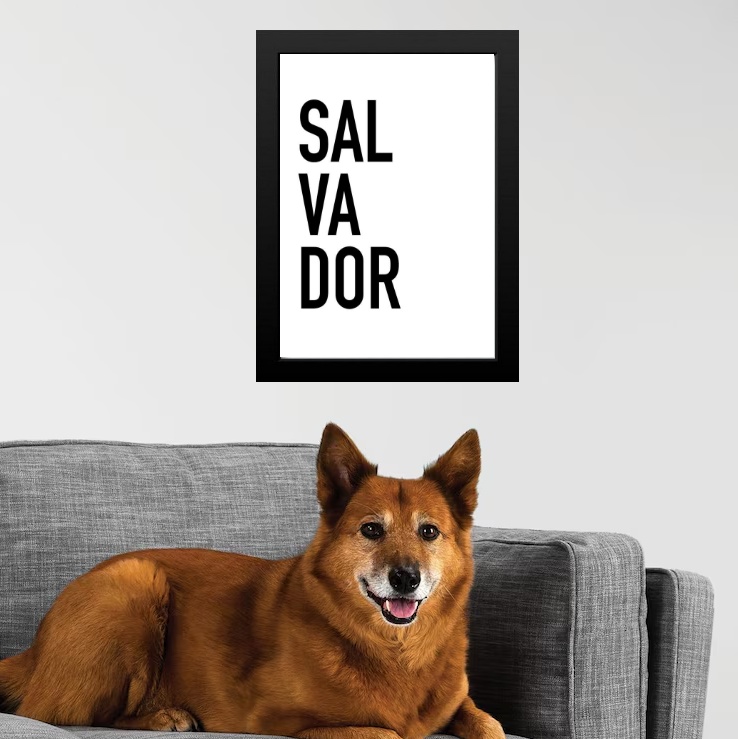 Quadro Decorativo Tipografia Salvador