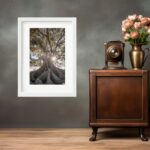 Quadro Natureza Raízes Árvore - 60x48 Cm