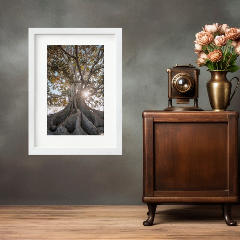 Quadro Natureza Raízes Árvore - 60x48 Cm