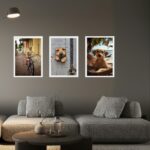 Kit 3 Quadros Decorativos Cachorro Caramelo