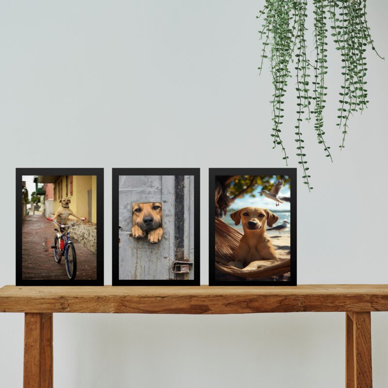 Kit 3 Quadros Decorativos Cachorro Caramelo