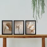 Kit 3 Quadros Fotos Suaves Flores Bege Para Sala ou Quarto