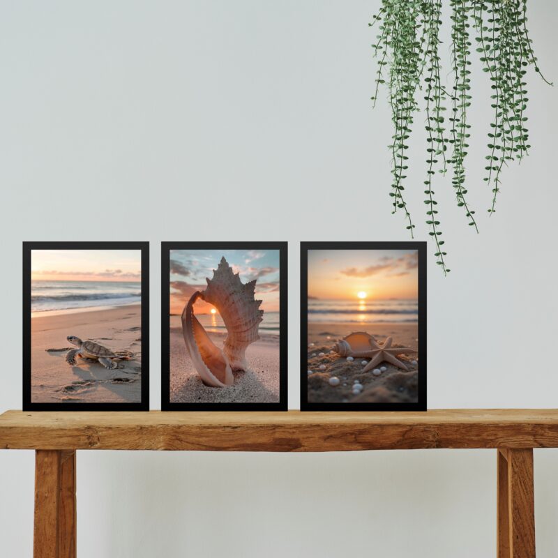 Kit 3 Quadros Praia Por Do Sol Conchas Tartaruga