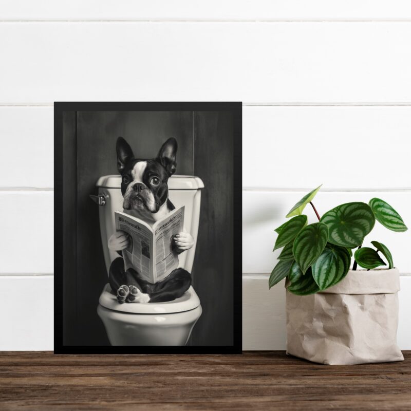 Quadro Boston Terrier No Banheiro Lendo Jornal