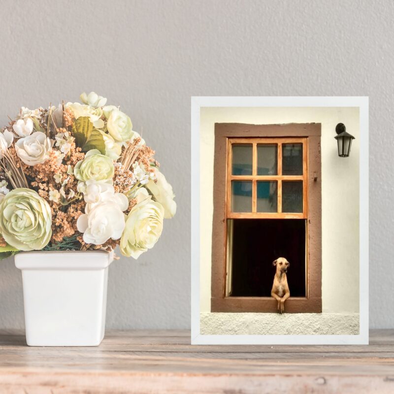 Quadro Decorativo Cachorro Caramelo Na Janela