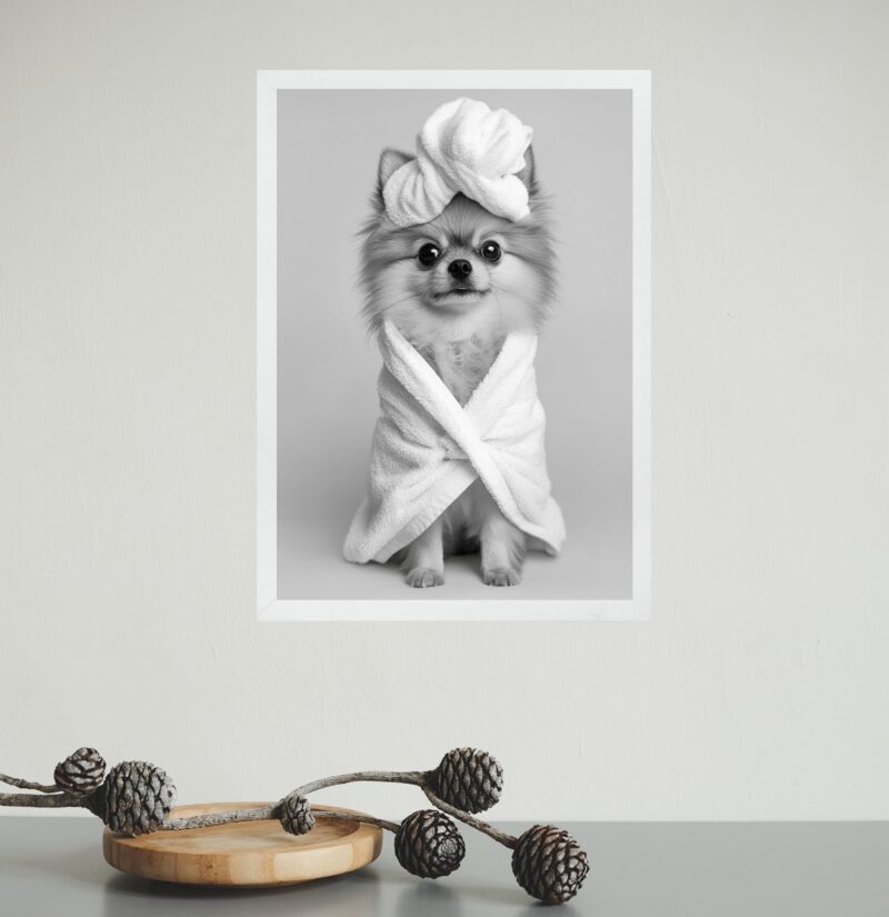 Quadro Para Banheiro Cachorrinha Lulu de Roupão