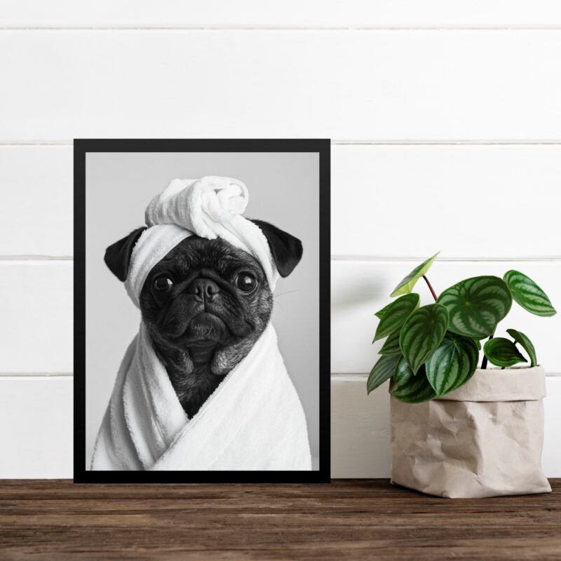 Quadro Para Banheiro Cachorrinha Pug De Roupão