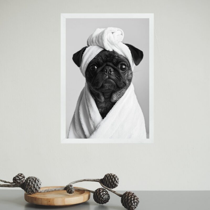 Quadro Para Banheiro Cachorrinha Pug De Roupão