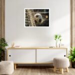Quadro Decorativo Bola Futebol Rede - 50x70 cm