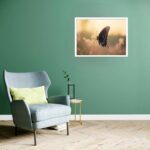Quadro Decorativo Borboleta Jardim - 50x70 cm