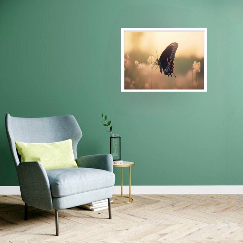 Quadro Decorativo Borboleta Jardim - 50x70 cm