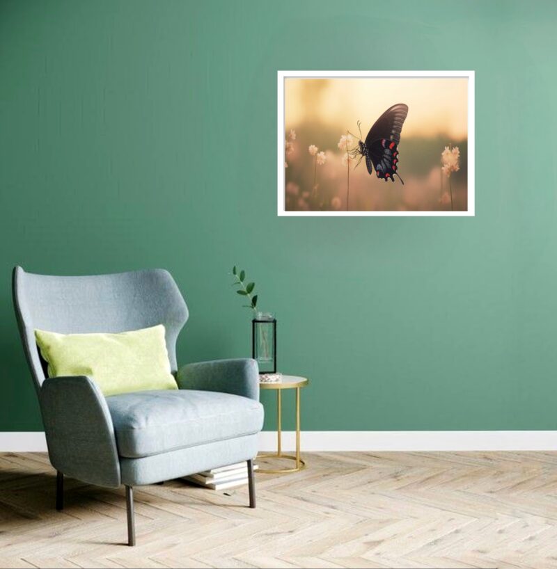 Quadro Decorativo Borboleta Jardim - 50x70 cm