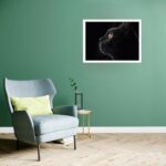 Quadro Decorativo Gato Preto Olhar - 50x70 cm