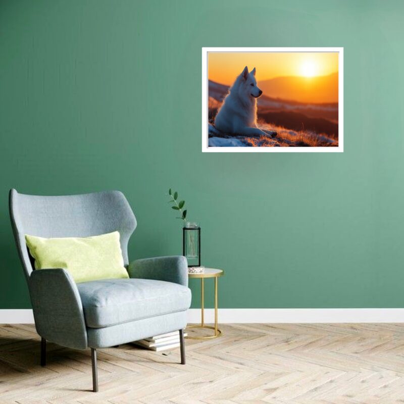 Quadro Decorativo Husky Albino Sol - 50x70 cm