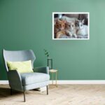 Quadro Decorativo Trio Gatinhas - 50x70 cm