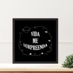 Quadro Lei Atração Vida Me Surpreenda - 33x33 Cm