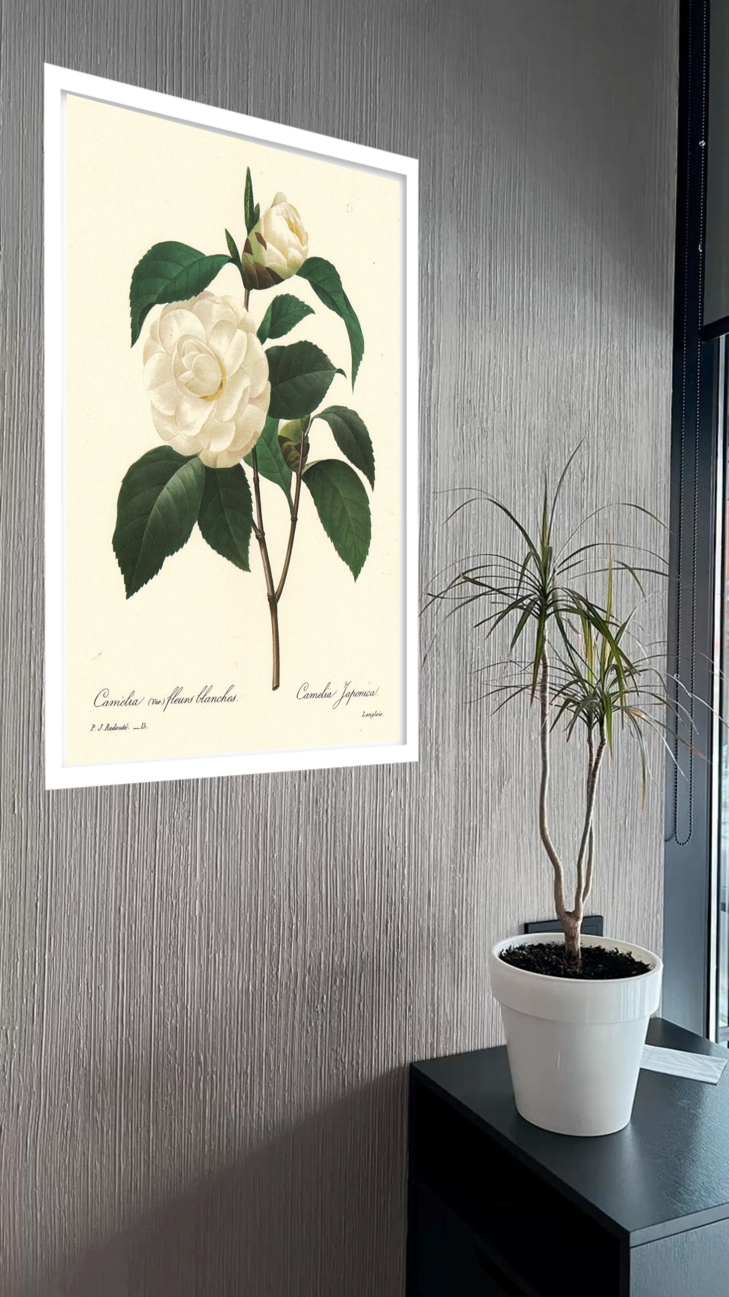 Quadro Decorativo Botânica Flor Camélia - 70x50 cm