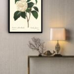 Quadro Decorativo Botânica Flor Camélia - 70x50 cm