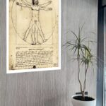 Quadro Decorativo Da Vinci O Homem Vitruviano - 70x50 cm