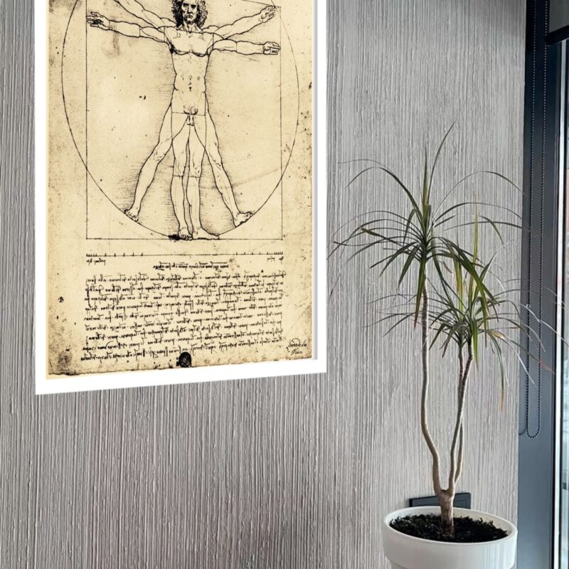 Quadro Decorativo Da Vinci O Homem Vitruviano - 70x50 cm
