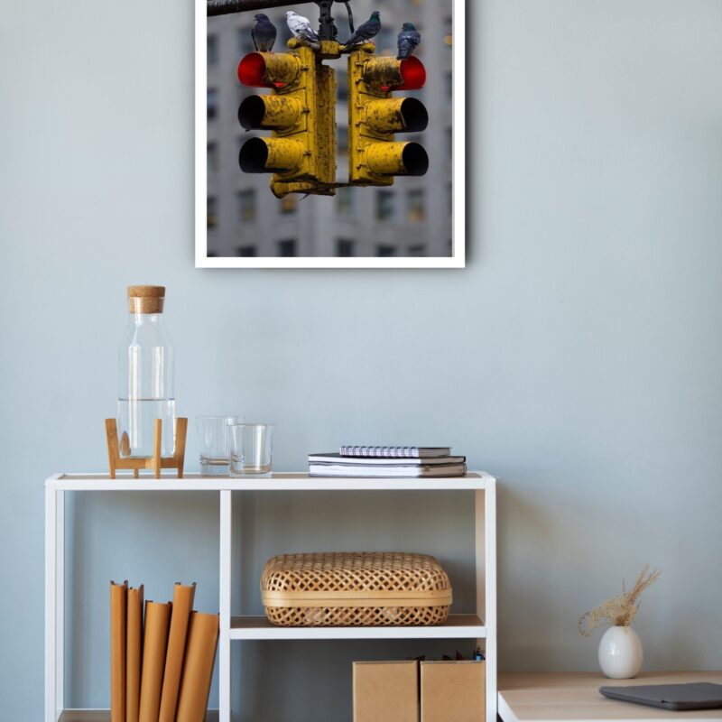 Quadro Decorativo Portugal Semáforo Pombos - 70x50 cm