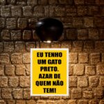 Quadro Eu Tenho Um Gato Preto Azar De Quem Não Tem