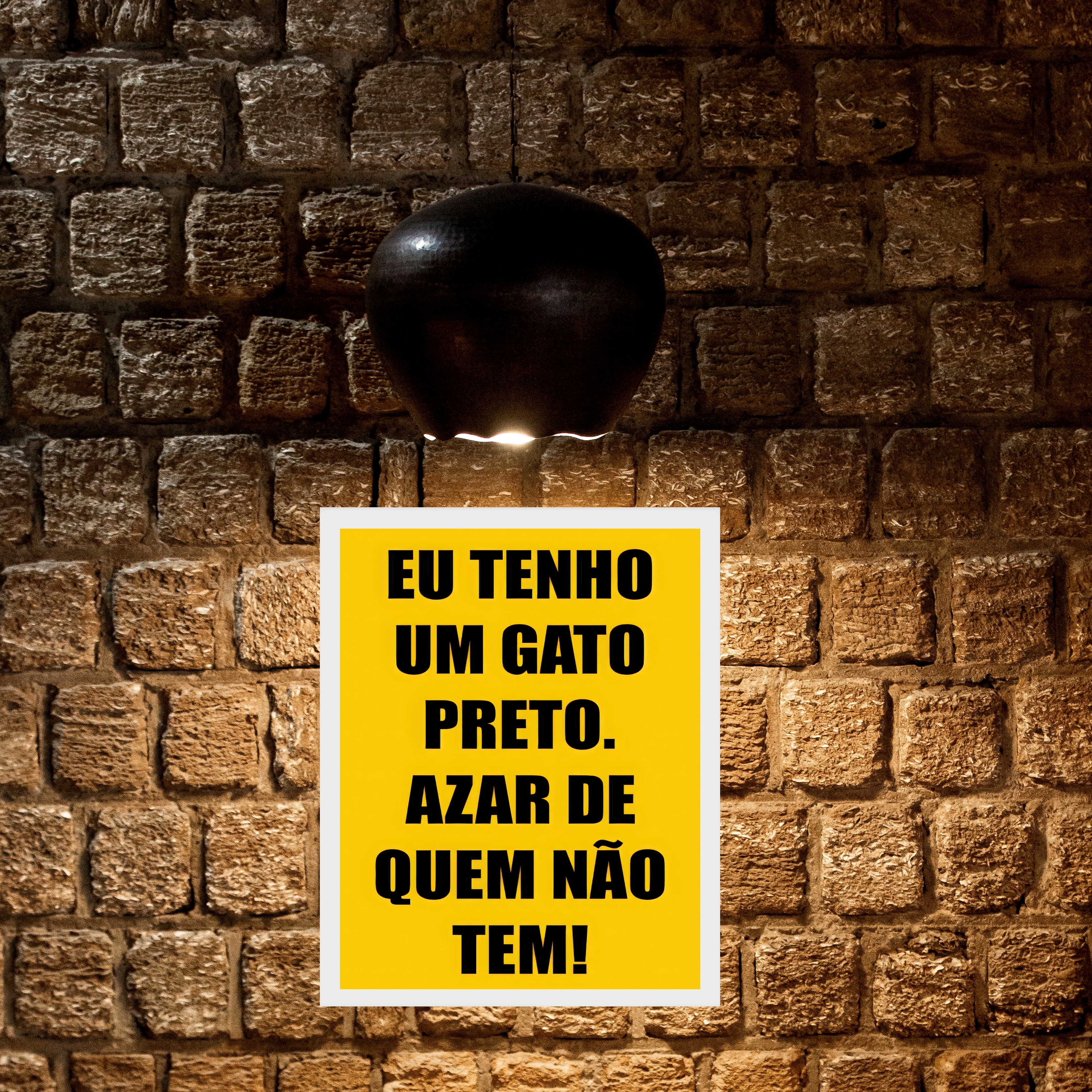 Quadro Eu Tenho Um Gato Preto Azar De Quem Não Tem