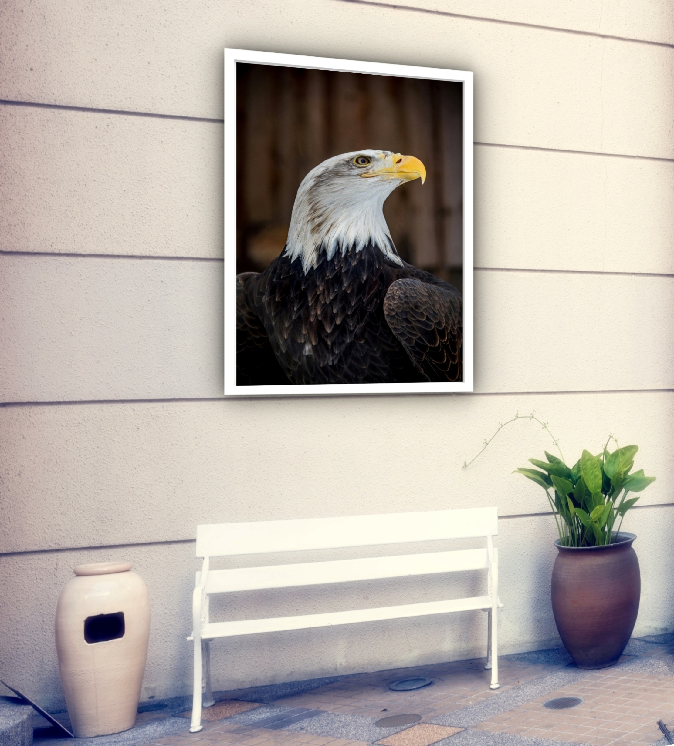 Quadro Decorativo Águia - 70x50 cm