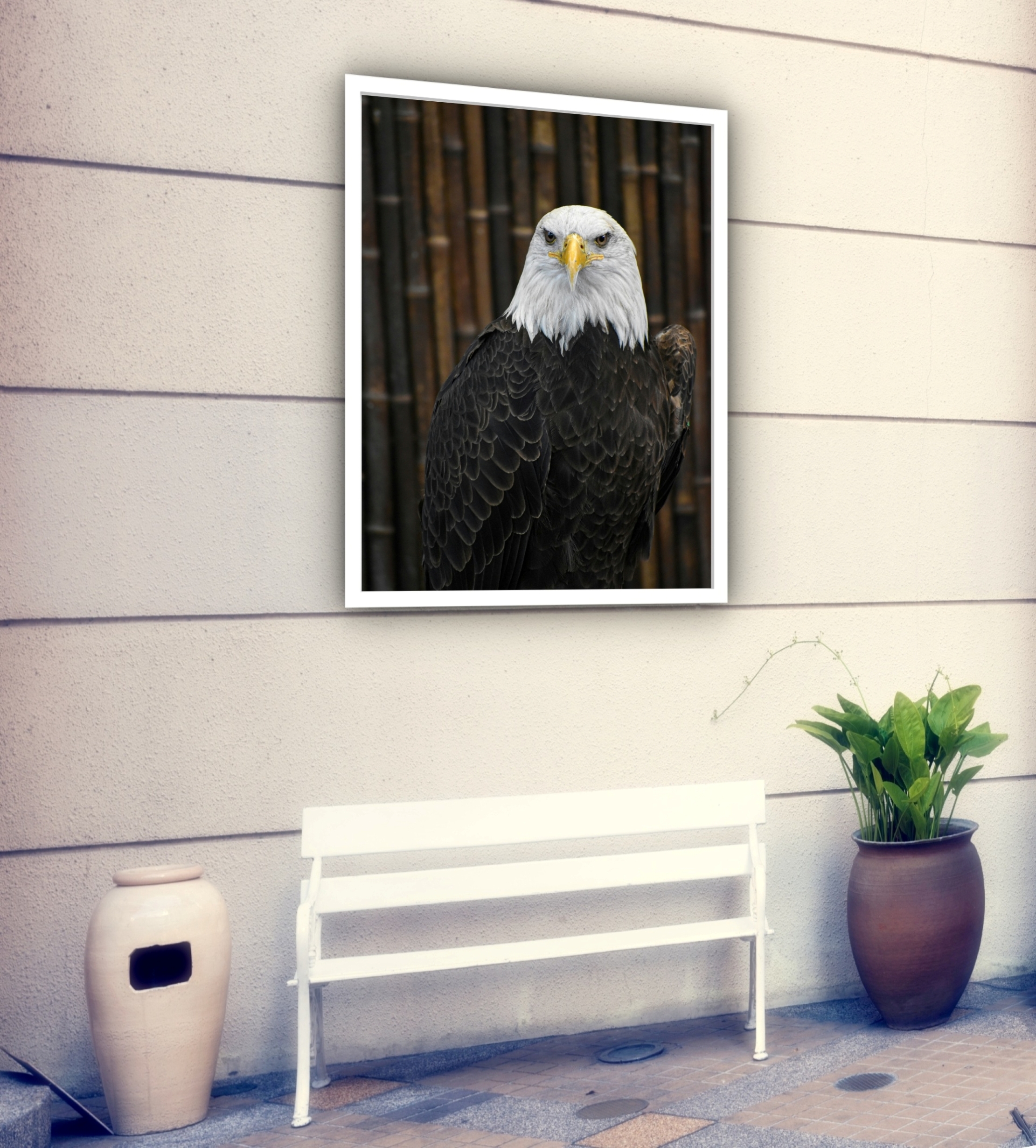 Quadro Decorativo Águia Fotografia - 70x50 cm