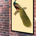 Quadro Decorativo Arte Pavão - 70x50 cm
