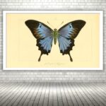 Quadro Decorativo Borboleta Azul Vintage - 50x70 cm