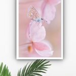 Quadro Decorativo Borboleta Flores Rosa - 70x50 cm