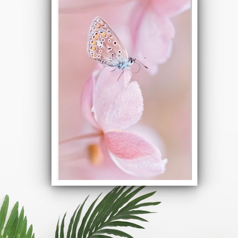 Quadro Decorativo Borboleta Flores Rosa - 70x50 cm