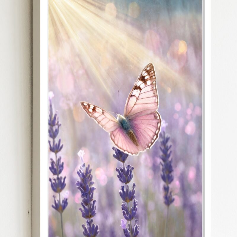 Quadro Decorativo Borboleta Rosa Raios Flores - 70x50 cm