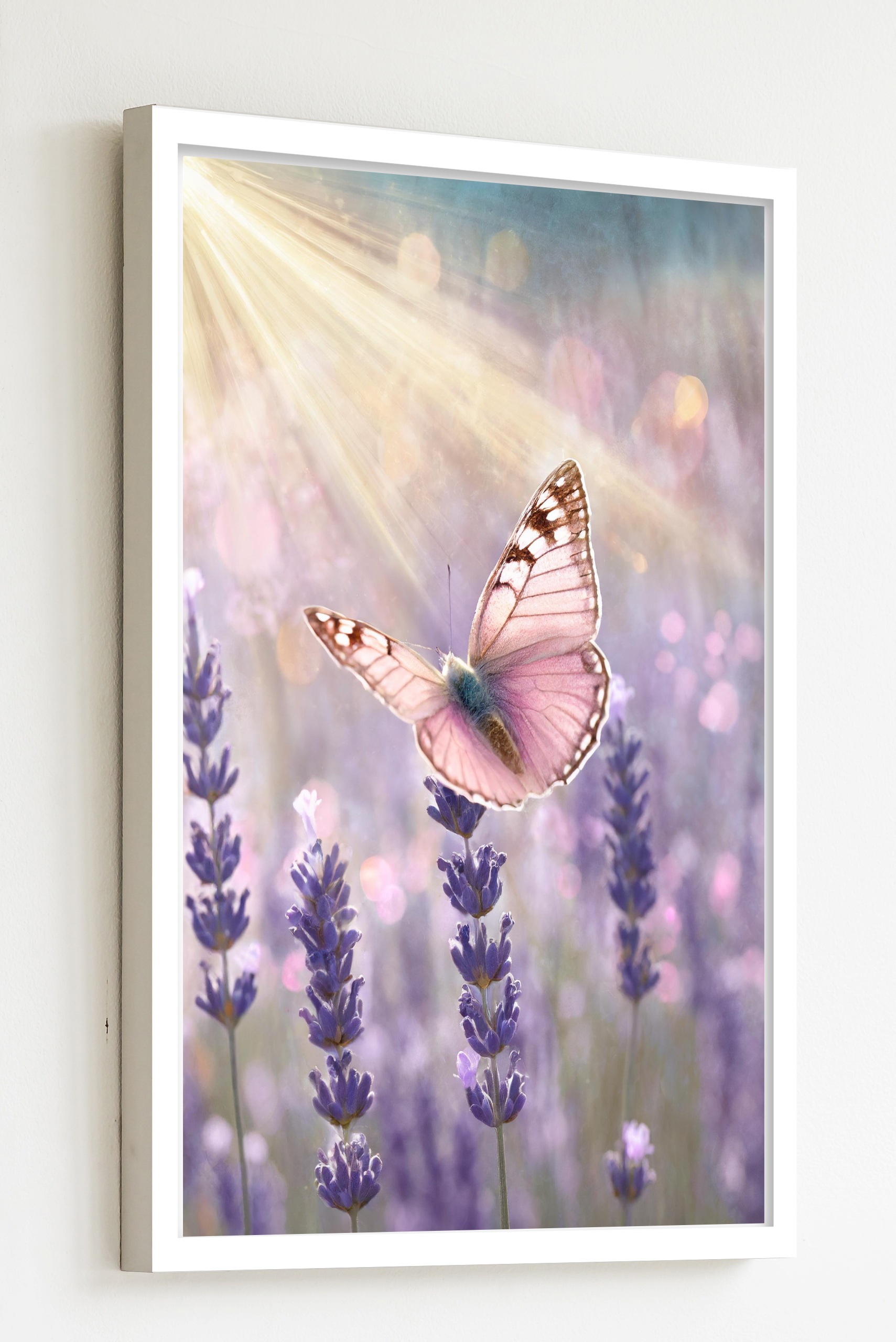 Quadro Decorativo Borboleta Rosa Raios Flores - 70x50 cm