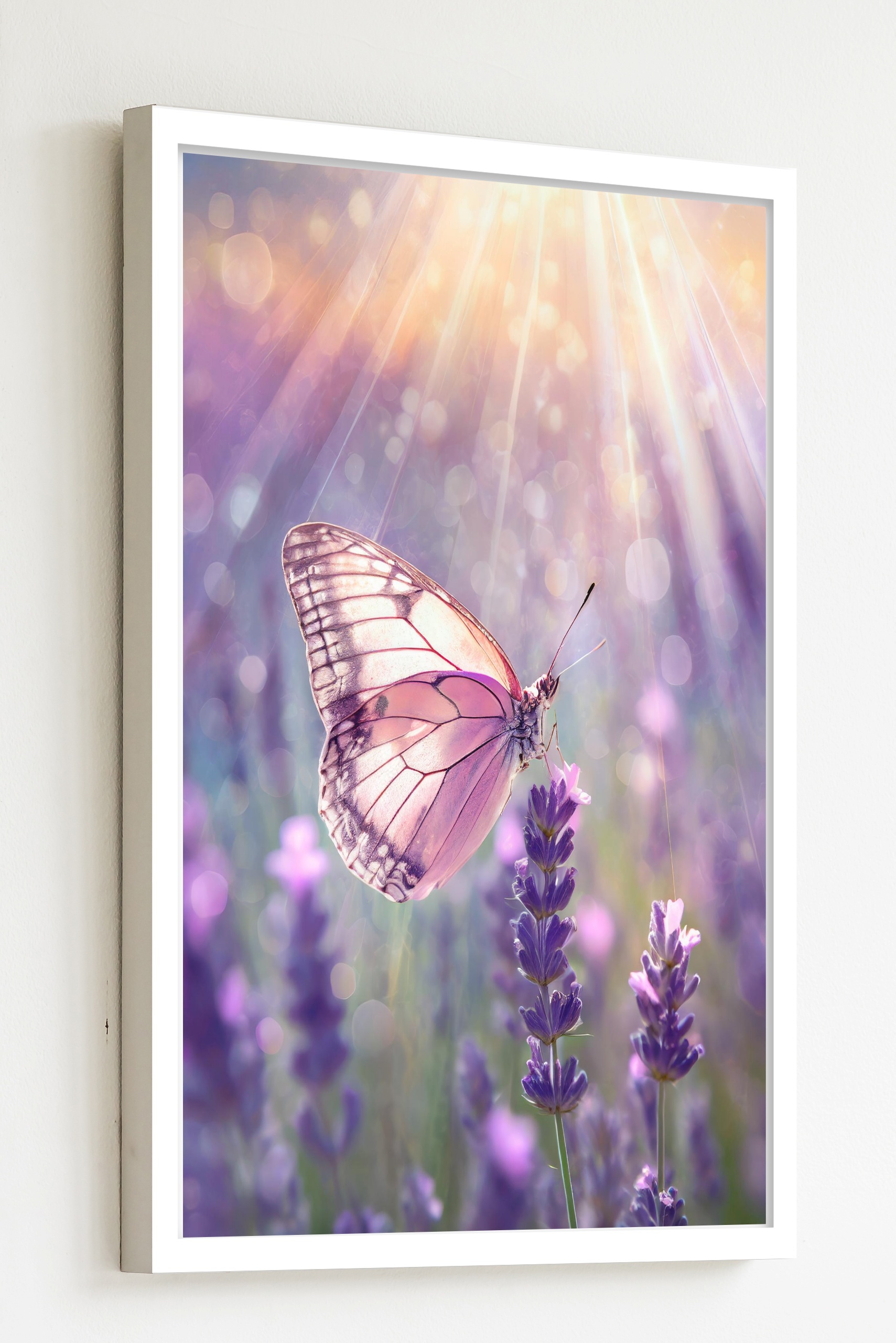 Quadro Decorativo Borboleta Rosa Raios Sol - 70x50 cm