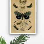 Quadro Decorativo Borboletas Retrô - 70x50 cm