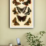 Quadro Decorativo Borboletas Vintage - 70x50 cm