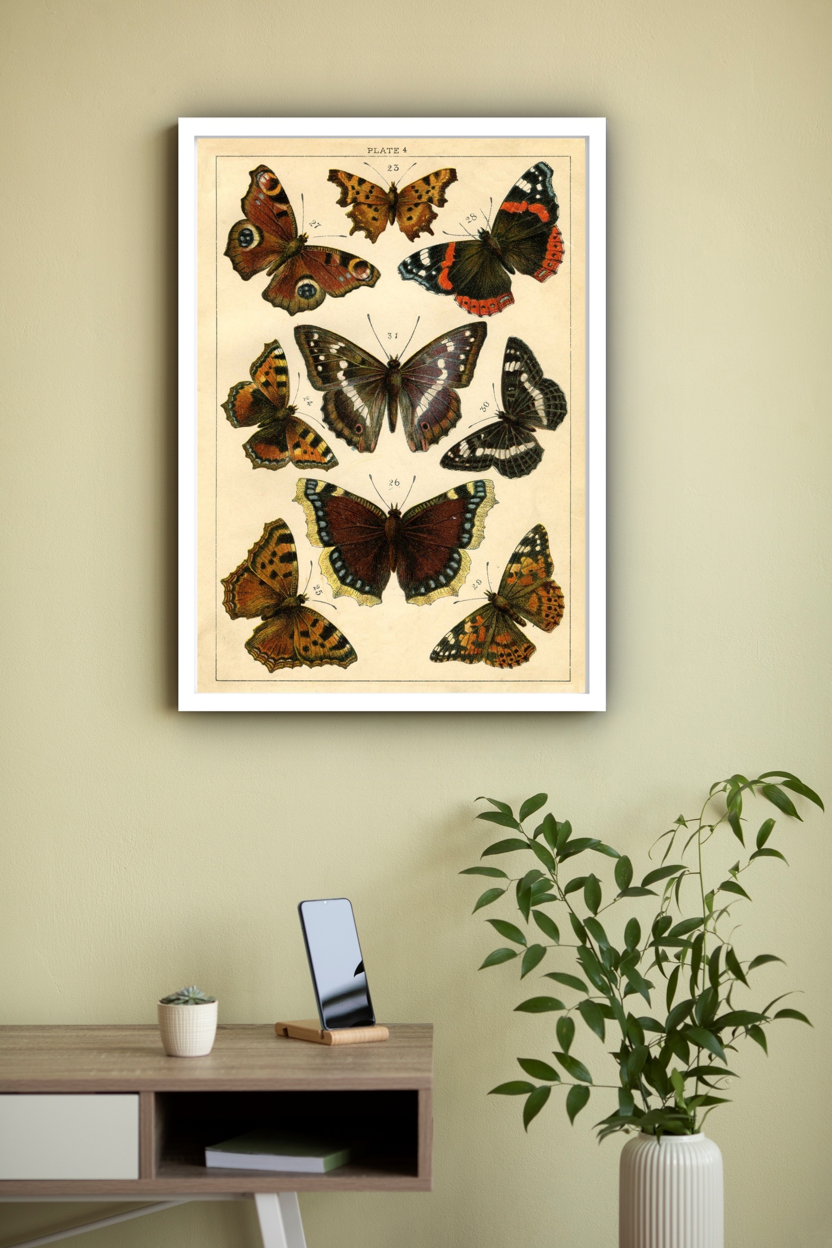 Quadro Decorativo Borboletas Vintage - 70x50 cm