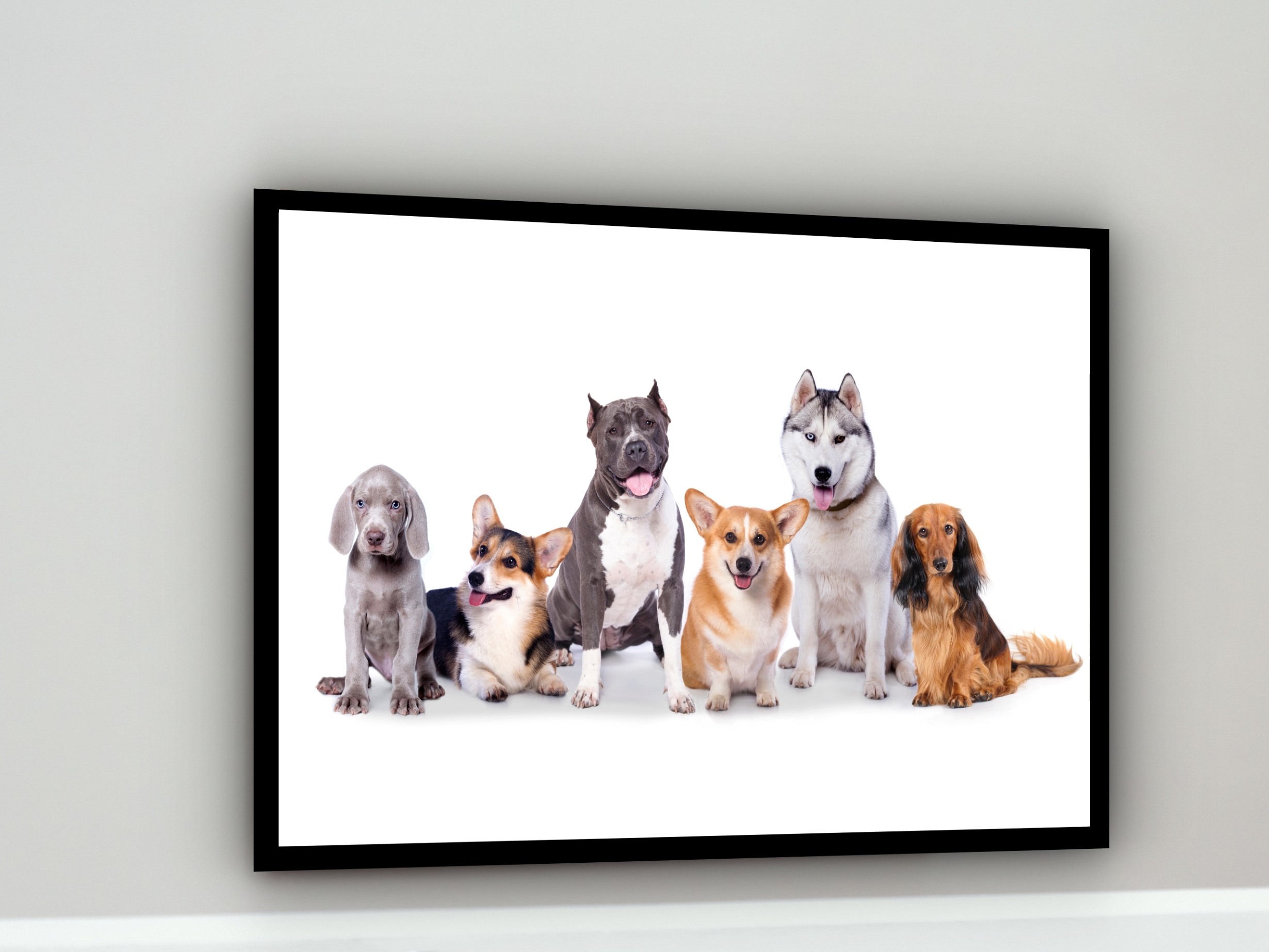 Quadro Decorativo Cachorros Pet Shop - 50x70 cm