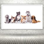 Quadro Decorativo Cachorros Pet Shop - 50x70 cm