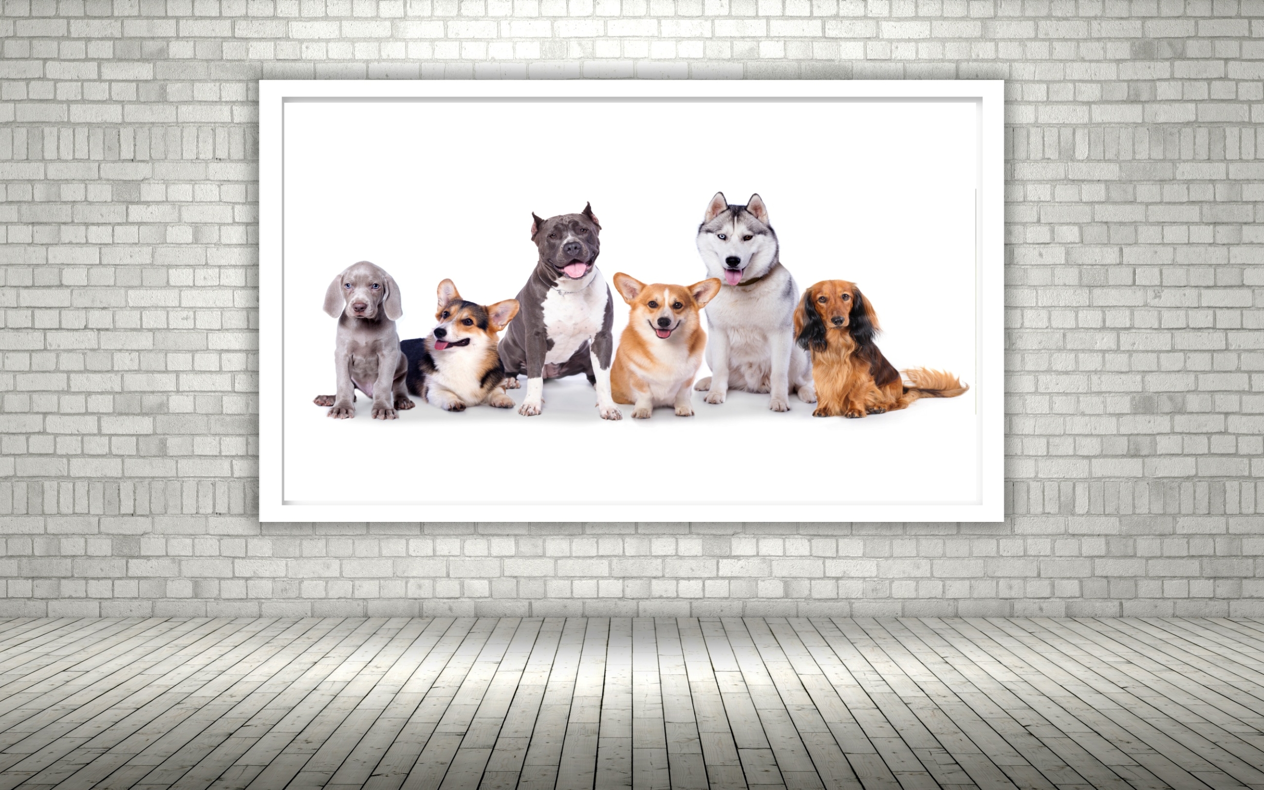 Quadro Decorativo Cachorros Pet Shop - 50x70 cm