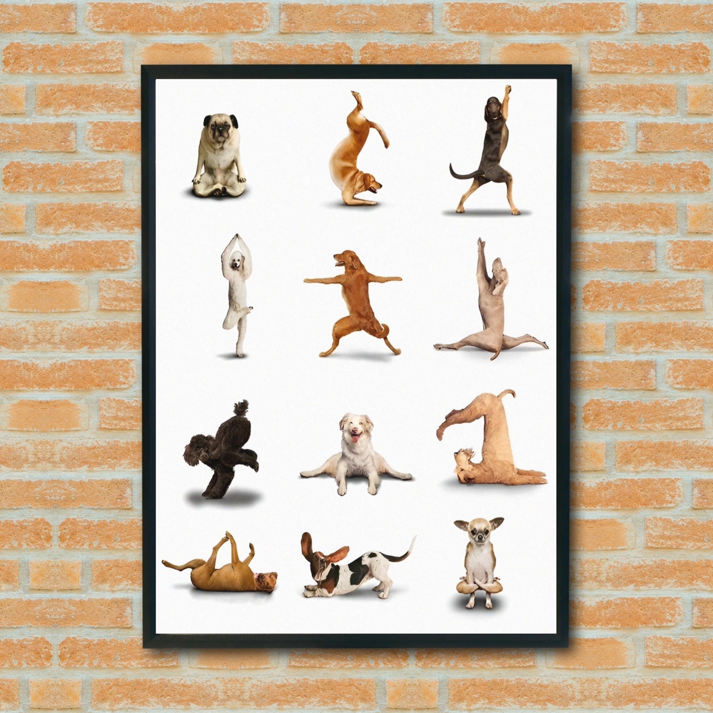 Quadro Decorativo Cães Yoga - 70x50 cm